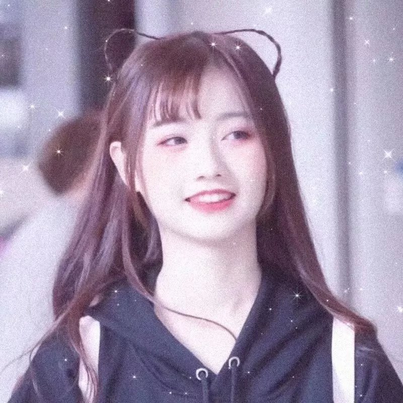少数意见