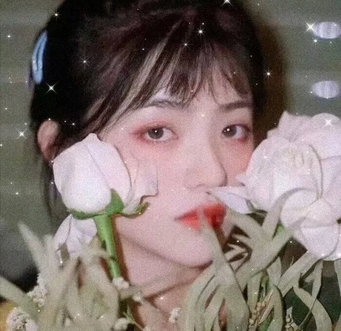 灌篮少年第二季